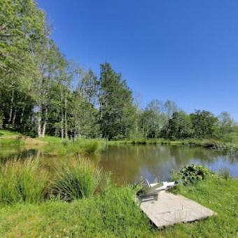 Superb Views From Perch Hut Hastingford Fishery