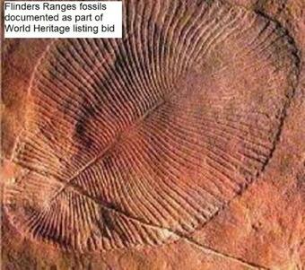 Hawker Bed And Breakfast