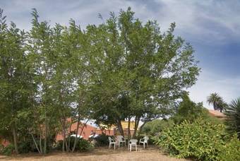 Agroturismo Casa Rural El Adelantado