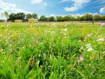 Honeysuckle Farm Holidays By Air Manage Suffolk