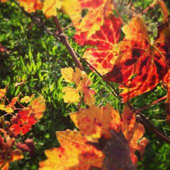 Apartamento B&B Monferrato La Casa Sui Tetti