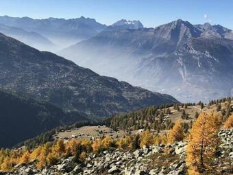 Apartamento Chalet Des Alpes Nature & Mountain By Alpvision R�sidences