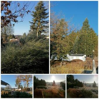 Ferienhaus Monika Biersdorf Am See