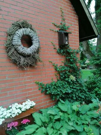 Ferienhaus In Rumke