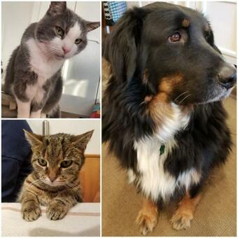 Apartamento Alte Brennerei