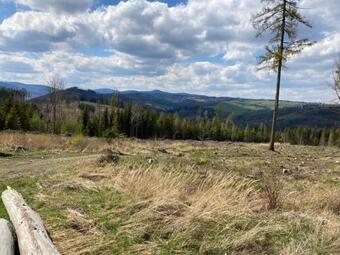 Horsk� Apartm�n V Karlovic�ch (karlovick� Dv?r)