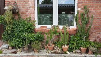 Hostal Pension Am Sch�ferbrink