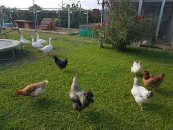 Apartamento Le Case Al Quadrato