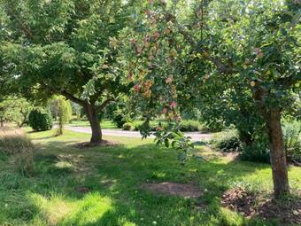 Bed & Breakfast Zweibettzimmer Pension Volgenandt