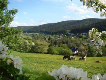 Apartamento Ferienwohnung Lang