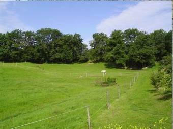 Hostal Les Roulottes Du Petit Gouffre De Padirac