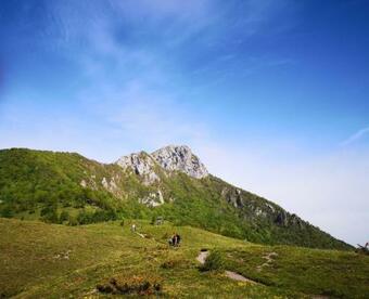 Ver fotos