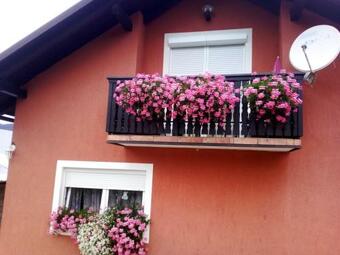 Apartamento Nika