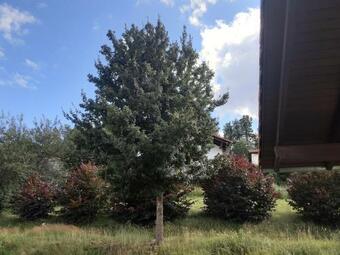 Apartamento Ferienhaus Niesky