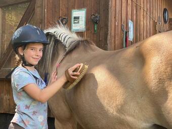 Apartamento Ferienhof-gerda-ferienwohnung-schwalbennest