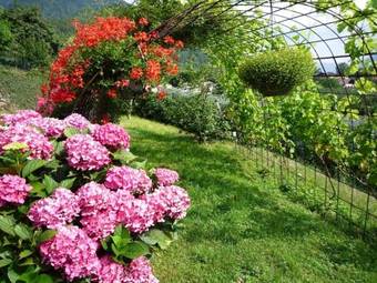 Apartamento Ferienwohnungen Braiter