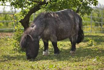 Agroturismo Agriturismo Casa Clelia