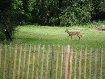 Bed & Breakfast Le Brame - Chambres D'h�tes