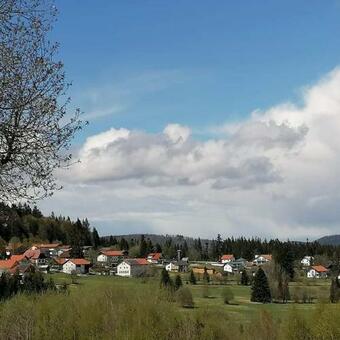 Apartamento Edelstein Ferienwohnung Philippsreut