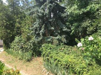 Apartamento Gajdosi Vend�gh�z