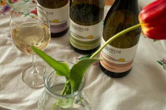 Villa Csillagkert Vend�gh�z