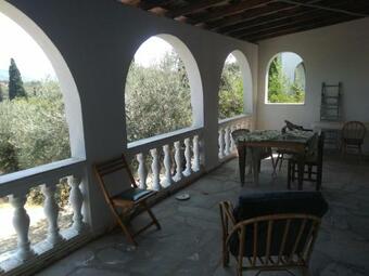 Apartamento Olive Branch2