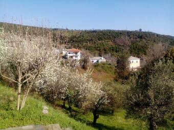 Nightingale Cottage Pelion
