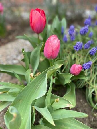 Apartamento Club Mansion Vend�gh�z