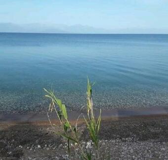 Golden Sea Villa (30 Meters From The Sea)