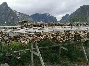 Lofoten Panoramic Luxury Home With Sauna