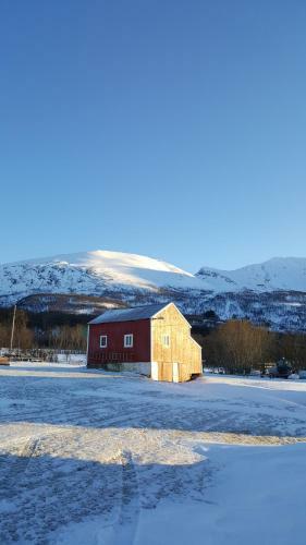 Lyngen Arctic View