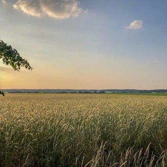 Hostal Pension Am Mellensee