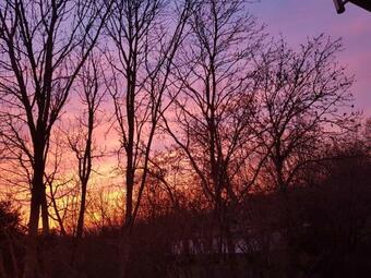 Apartamento Eifelgl�ck