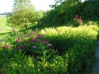 Apartamentos Marga`s Ferienwohnung