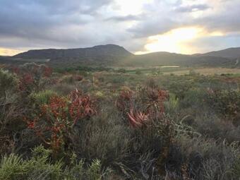 Hostal Sempurna Estate