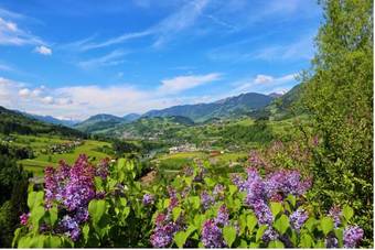 Verw�hnhotel Sonnhof