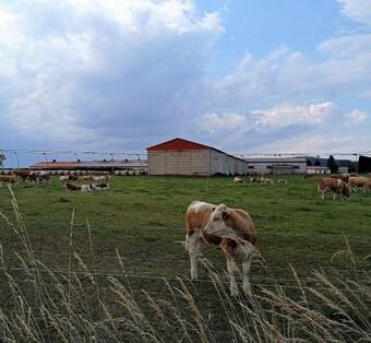 Apartamento Peterskirchlein