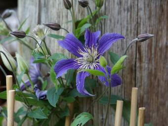 Gem�tliche Ferienwohnungen Im Erzgebrige