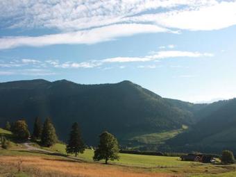 Holiday Home Walkner