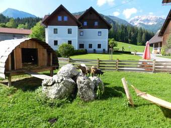 Hostal Baby- Und Kinderbauernhof Riegler