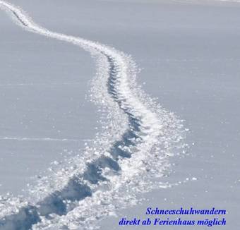 Ferienhaus Anke - Ausseerland