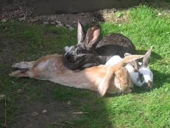 Agroturismo Bauernhof Haim