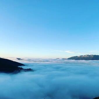 Apartamento Yours And Theirs Pet Friendly Accommodation