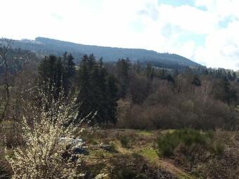 Apartamento Studio De Charme