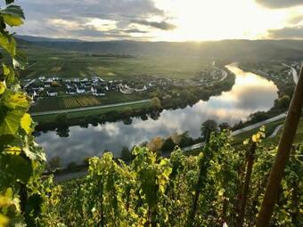 Apartamento Design Trifft Wein...urlaub Auf Dem Weingut