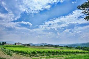 Holiday House Loredana For 6 Persons In Peacefully Paz, Central Istria