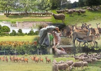 Ver fotos