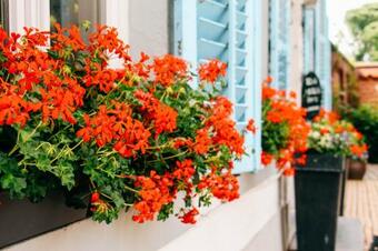 Gastenkamers In De Bleick