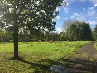 Scheldewegel Vakantiehuis