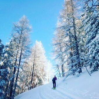 Chalet Le Trient